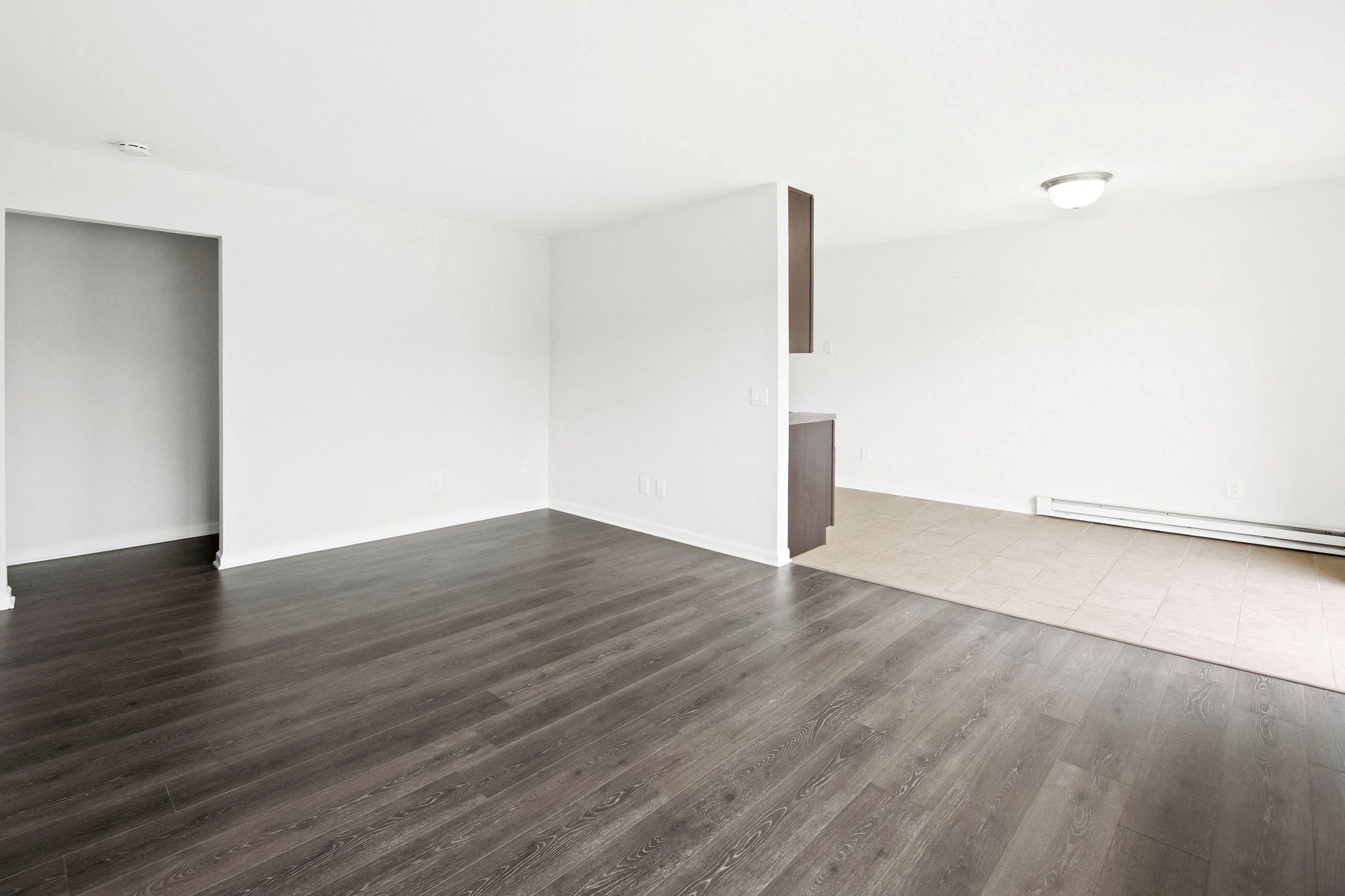 Gallery Photo 5
